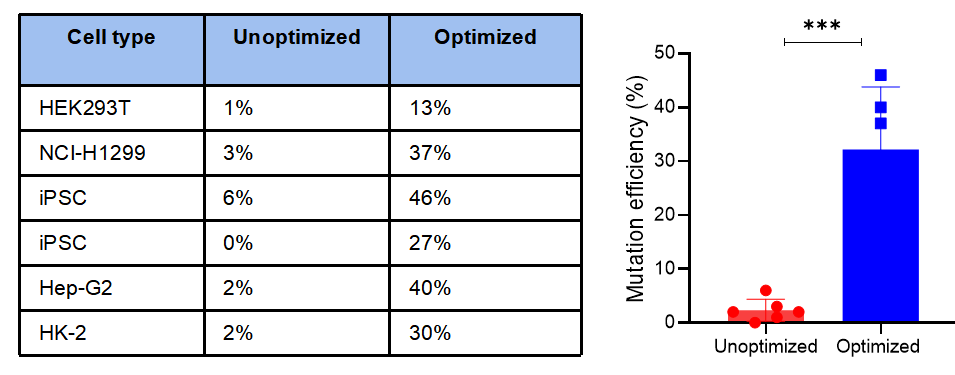 Increased point mutation efficiency